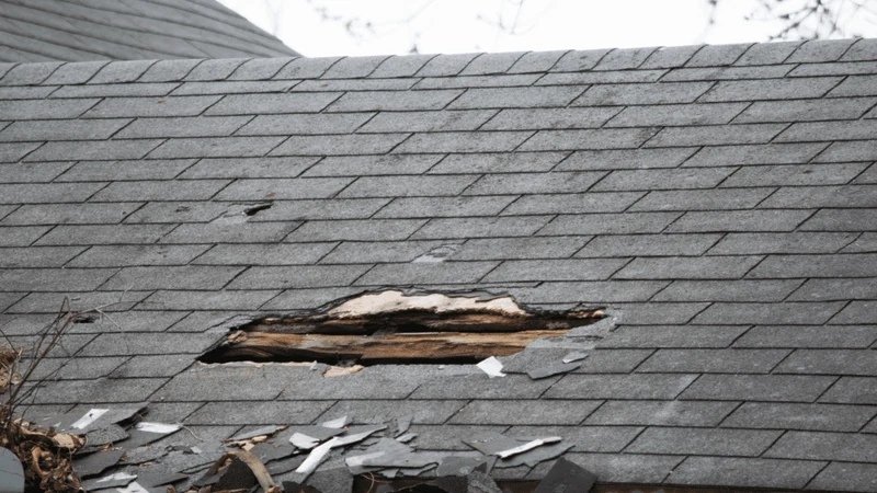 Large opening through gray asphalt shingles exposes damaged wood below.