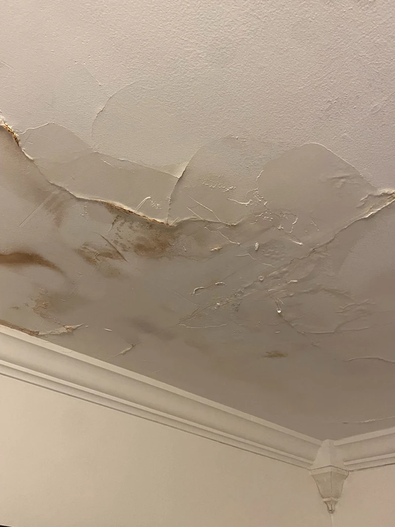 Bubbling and peeling ceiling paint with brown water stains and a hanging droplet.