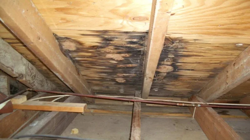 Dark, deteriorated roof decking between attic rafters with a pipe running across the foreground.
