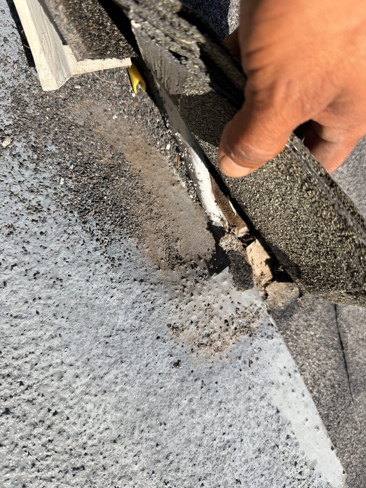Lifted asphalt shingle exposing an opening at the transition to the older flat-roof covering.