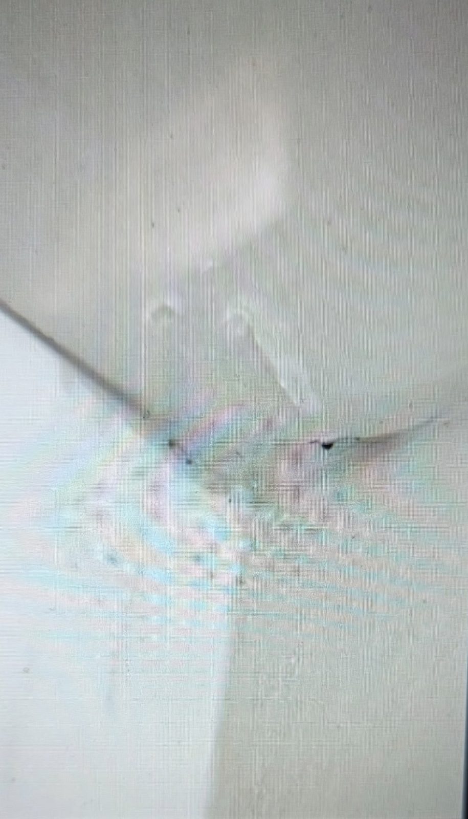 Water-stained interior ceiling with cracked, sagging drywall reported below the leaking Dana Point roof.